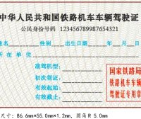 铁路机车车辆驾驶人员资格许可实施细则